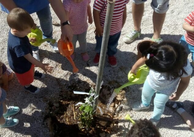 Los niños y niñas de Escoleta el Castellet plantan su primer árbol 5 niños riegan el árbol
