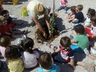 plantan un arbol