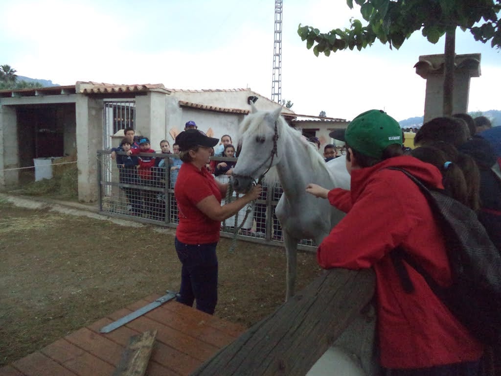 Actividades ambientales