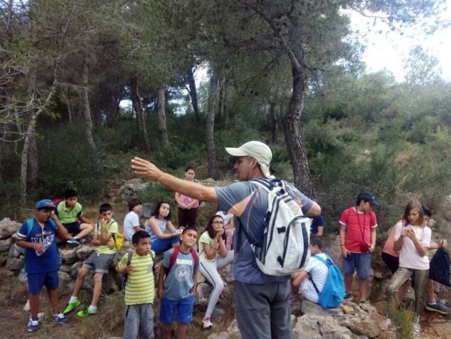 Actividades de educación abiental