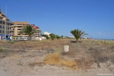 Dunas protegidas en Dénia