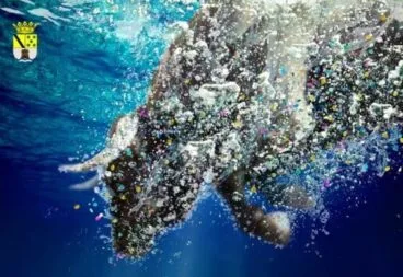 Fiestas de Dénia 2014