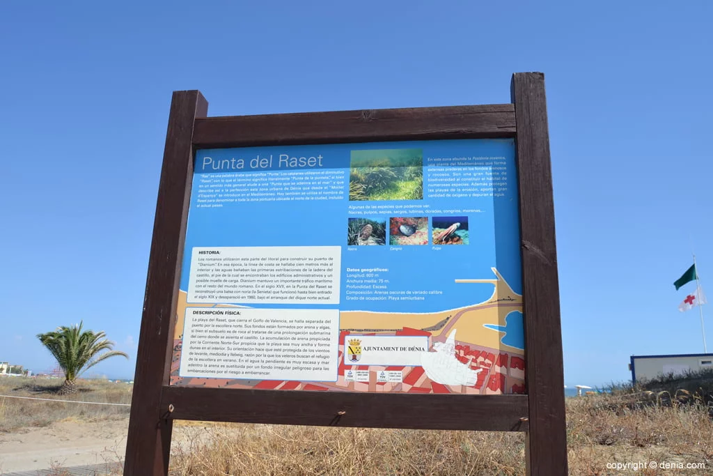 Información sobre la playa Punta del Raset de Dénia