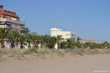 Regeneración de dunas en la playa de la Punta del Raset de Dénia