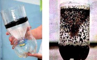 Trampa casera para msoquitos tigre