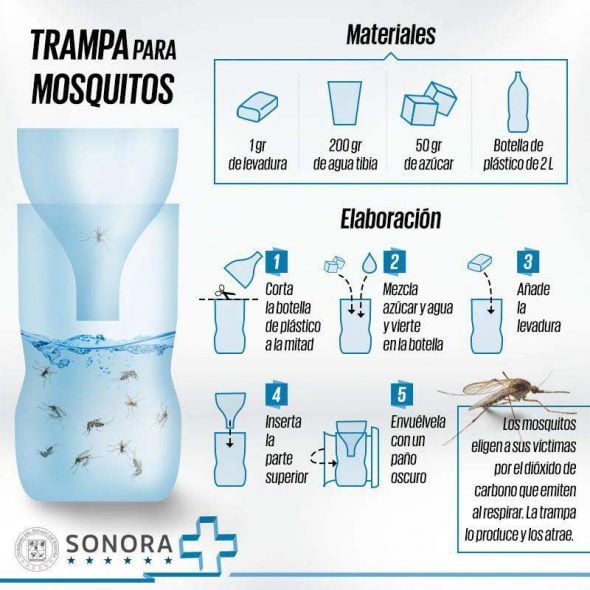 obra maestra Pantalones Hablar Aprende a defenderte de los mosquitos tigre con esta trampa casera