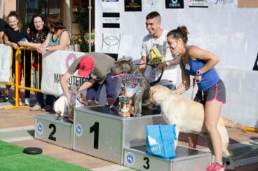 VI Festival Mascotetes