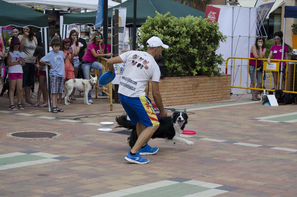 VI Festival Mascotetes en Dénia