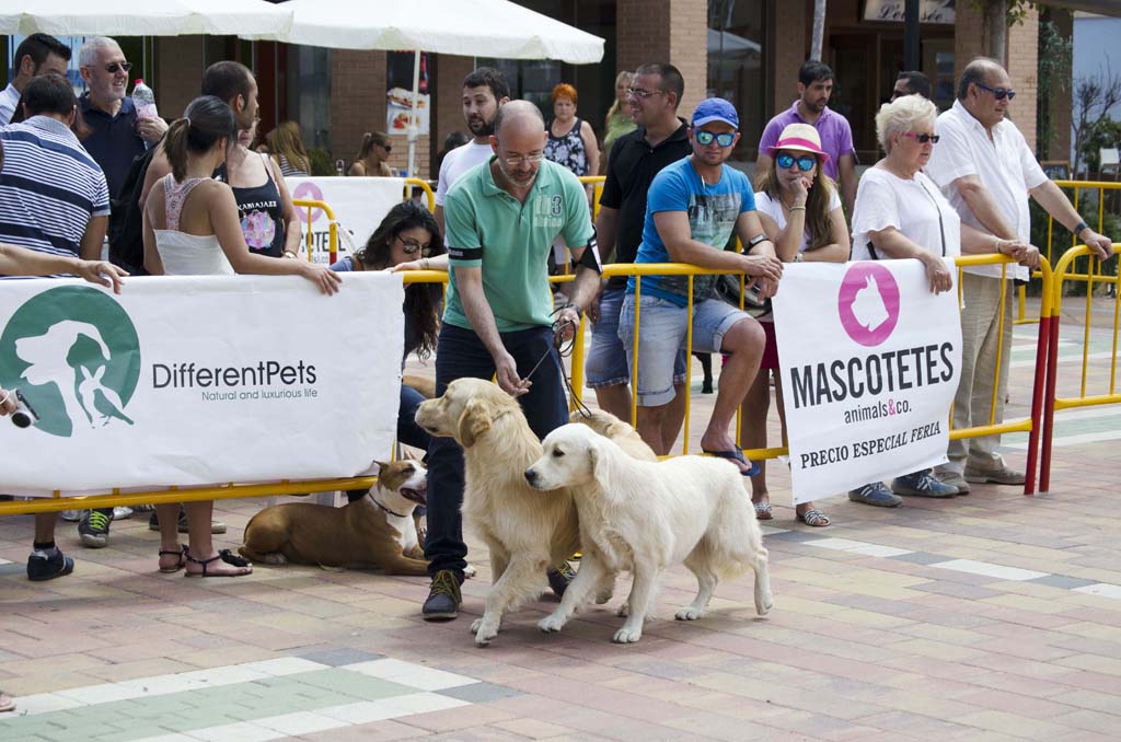 VI Festival mascotetes en Marina de Dénia