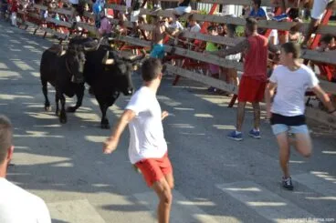 Día de los Quintos – entrada de toros