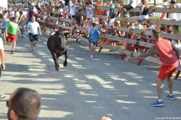 Día de los Quintos – entrada de toros