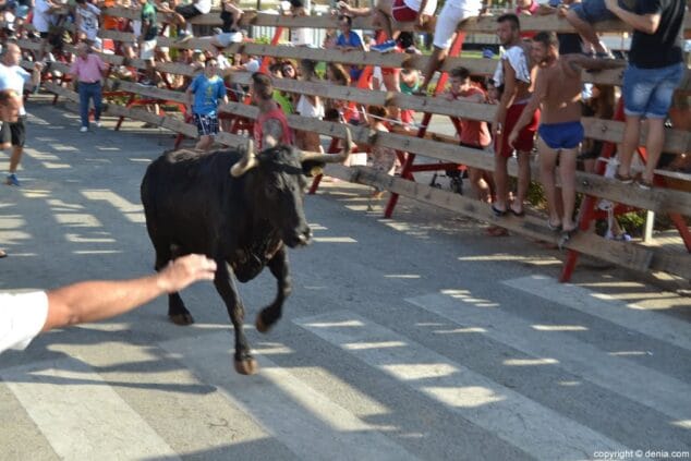 23 Día de los Quintos última entrada de toros