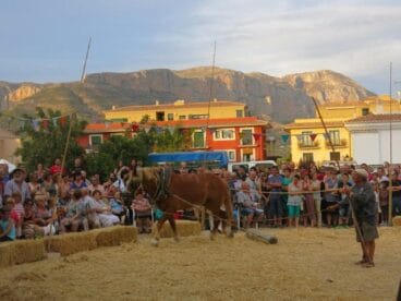 Batida del trigo a caballo II
