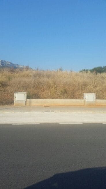 Ciudadanos reclama la limpieza de solares