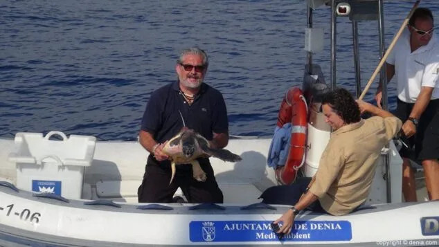 La tortuga a punnto de ser soltada