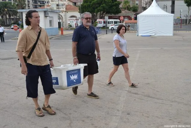 La tortuga es transportada en una caja