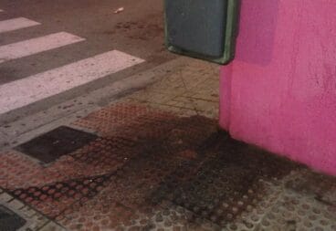 Orin de perro en una esquina