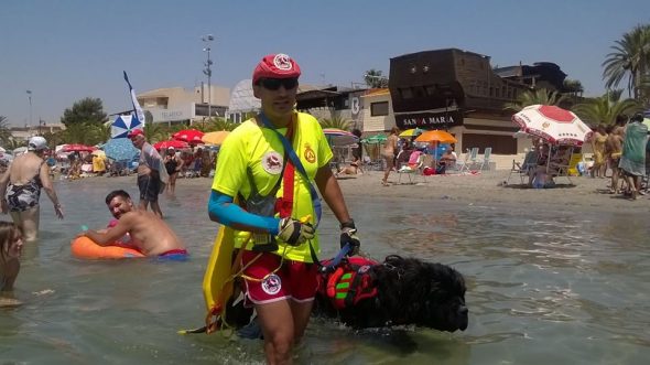 Perros socorristas entrenados por el grupo de rescate mare nostrum