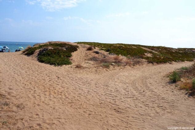 Playa Les Bovetes Dunas