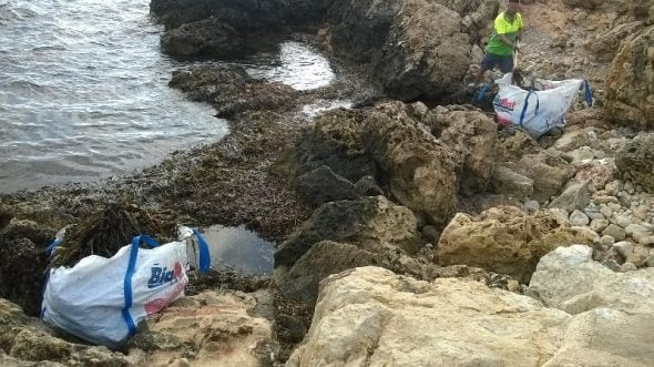 Retiran algas de las playas de Dénia