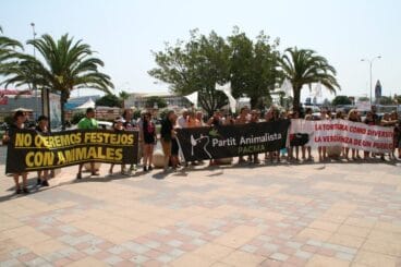 Unas cincuenta personas han asistido a la concentración