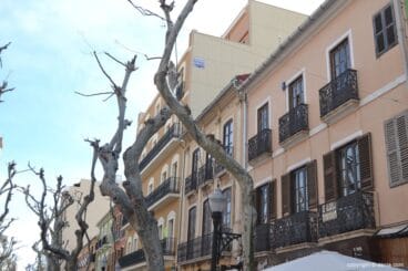 Viviendas en la calle Marqués de Campo