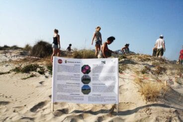 Voluntarios internacionales contra las plantas invasoras