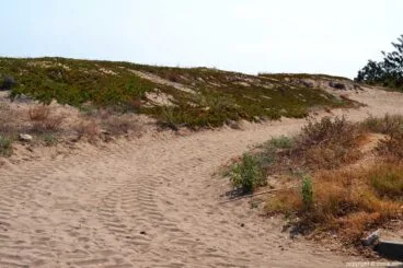 arena playa Les Bovetes