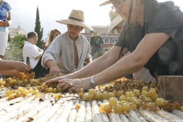 011 Escaldà de la pansa a Jesús Pobre
