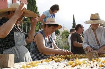 012 Escaldà de la pansa a Jesús Pobre