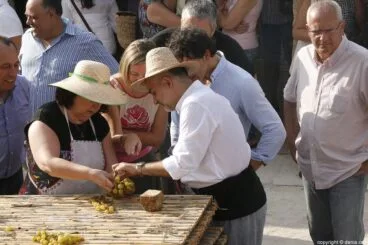 Escaldà de la pansa a Jesús Pobre