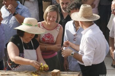 Escaldà de la pansa a Jesús Pobre – Soctto con Grimalt i Colomer i Salvador