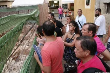 018 Ruinas de una casa islámica