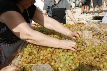 Escaldà de la pansa a Jesús Pobre