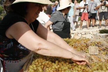 Escaldà de la pansa a Jesús Pobre