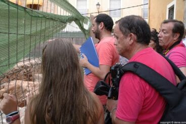 020 Ruinas de una casa islámica