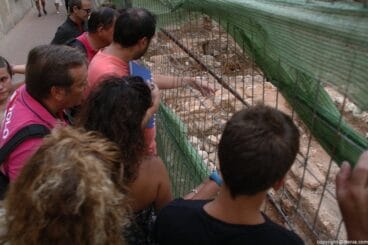 021 Última parada, ruinas