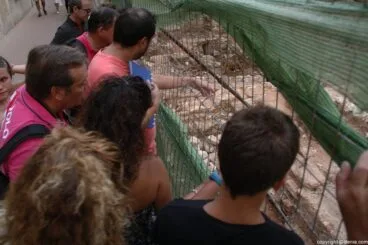 021 Última parada, ruinas