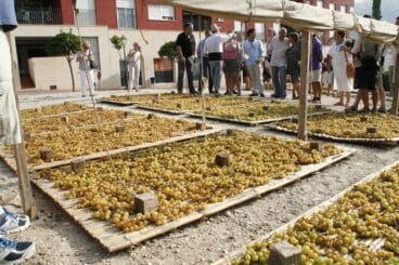 Escaldà de la pansa a Jesús Pobre