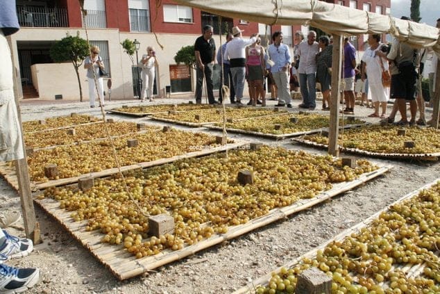 027 Escaldà de la pansa a Jesús Pobre