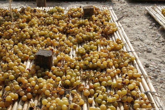 028 Escaldà de la pansa a Jesús Pobre