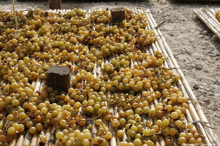 Escaldà de la pansa a Jesús Pobre