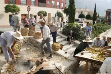 Escaldà de la pansa a Jesús Pobre