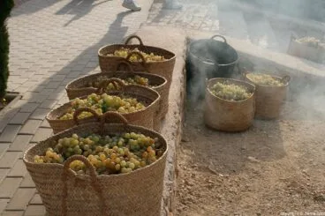 Escaldà de la pansa a Jesús Pobre