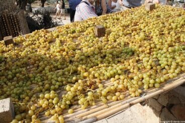 Escaldà de la pansa a Jesús Pobre
