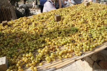 Escaldà de la pansa a Jesús Pobre