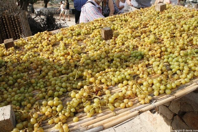 04 Escaldà de la pansa a Jesús Pobre