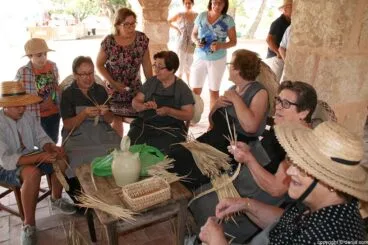 040 Escaldà de la pansa a Jesús Pobre