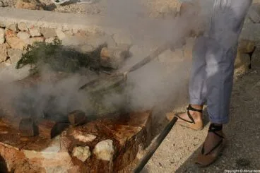 043 Escaldà de la pansa a Jesús Pobre