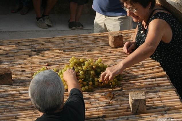 045 Escaldà de la pansa a Jesús Pobre